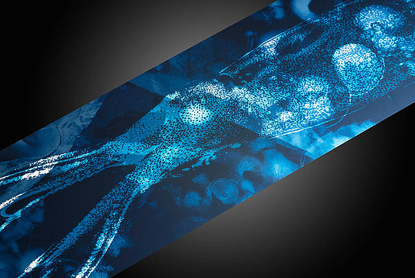 LEONHARD KURZ 採用藍色燈光設計的汽車儀錶板