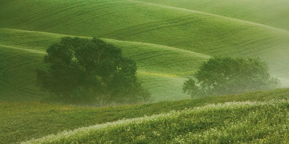 永續評級排名最高:全球範圍內永續生產